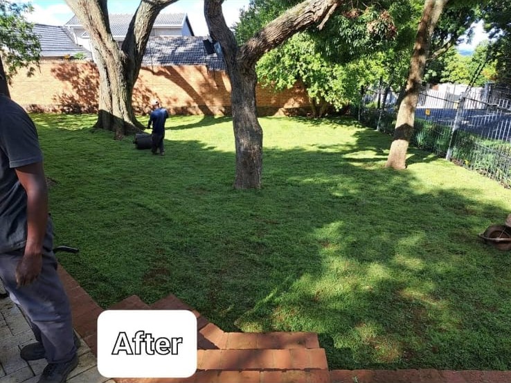 Finished lawn after landscaping